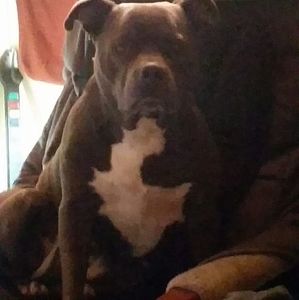 Meet your Posher, Cynthia